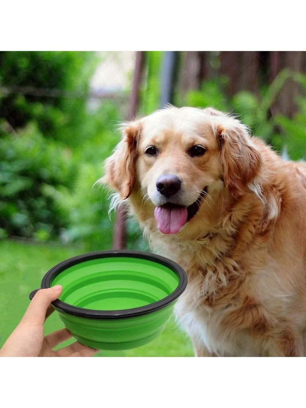 2 Pack Large Collapsible Dog Bowls - Portable Pet Water & Food Dishes for Travel